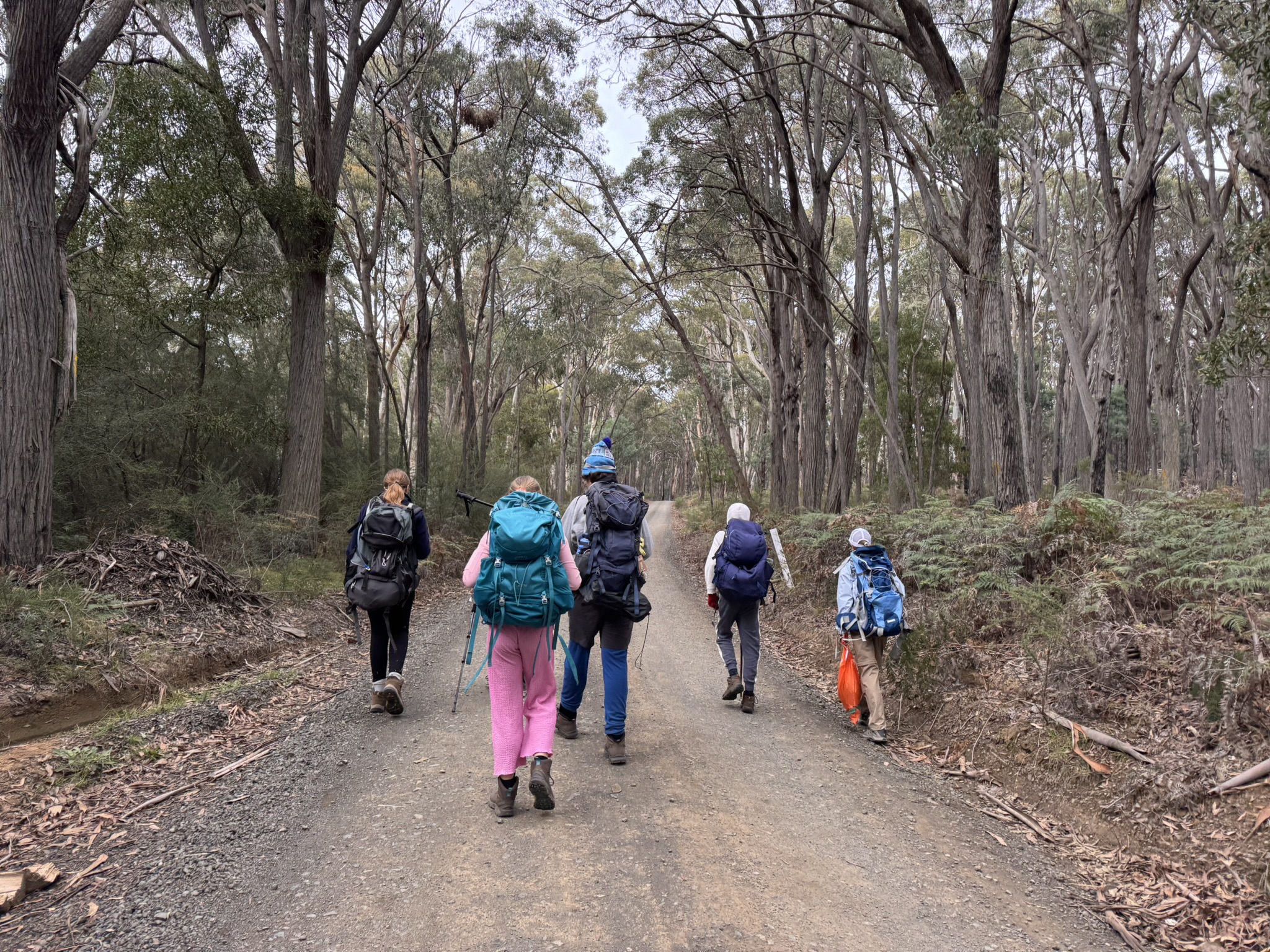 Scouts on a local hike